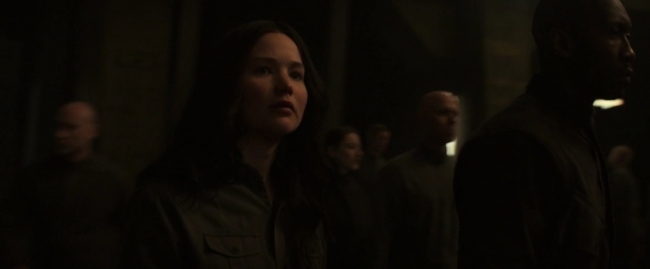 Mockingjay1_0217.jpg