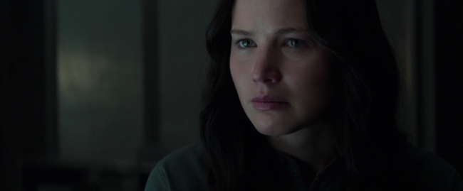 Mockingjay1_0323.jpg