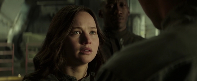 Mockingjay1_0429.jpg