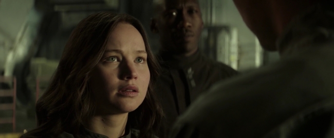 Mockingjay1_0430.jpg