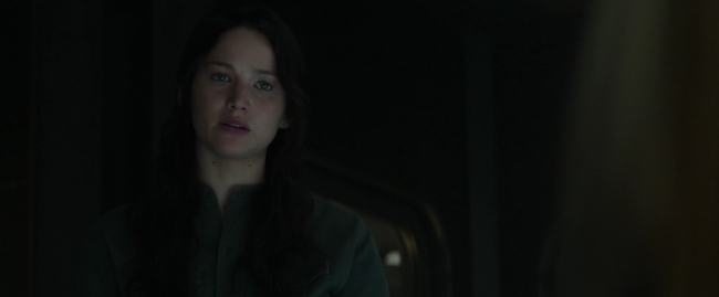 Mockingjay1_1266.jpg