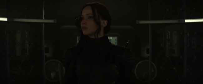 Mockingjay1_1628.jpg