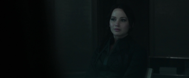 Mockingjay1_1811.jpg