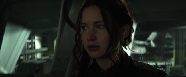 Mockingjay1_2010.jpg