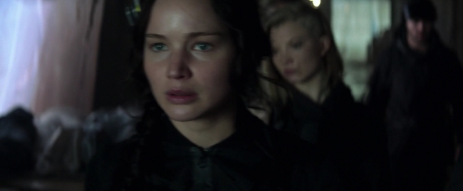 Mockingjay1_2093.jpg