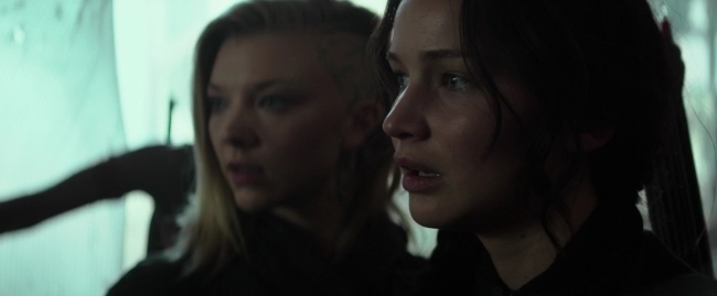 Mockingjay1_2104.jpg