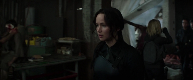 Mockingjay1_2119.jpg