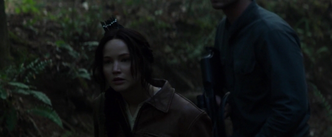 Mockingjay1_2705.jpg