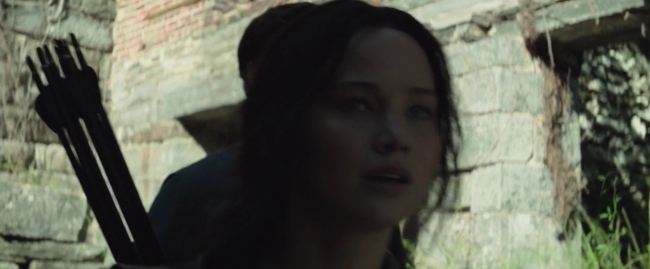 Mockingjay1_2759.jpg