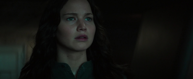 Mockingjay1_4345.jpg