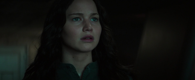 Mockingjay1_4347.jpg