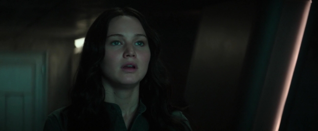 Mockingjay1_4376.jpg