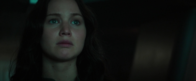 Mockingjay1_4517.jpg