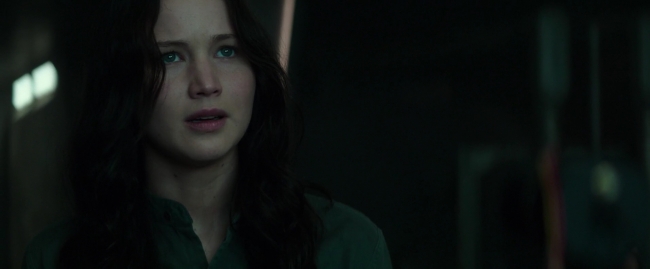 Mockingjay1_4713.jpg