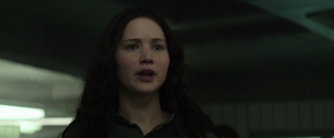 Mockingjay1_4880.jpg