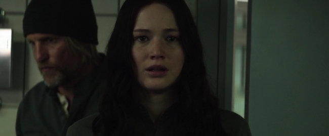 Mockingjay1_4946.jpg