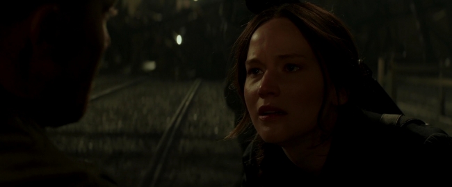 Mockingjay2_0789.jpg