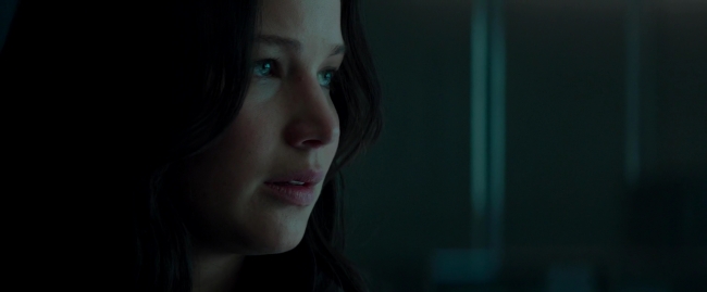 Mockingjay2_1214.jpg