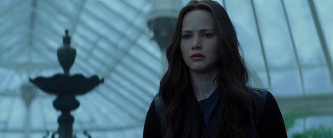 Mockingjay2_5080.jpg