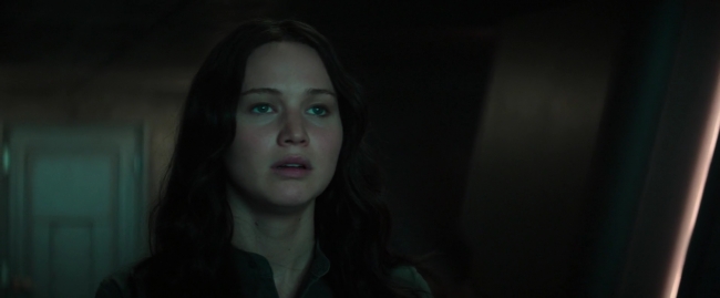 Mockingjay1_4377.jpg