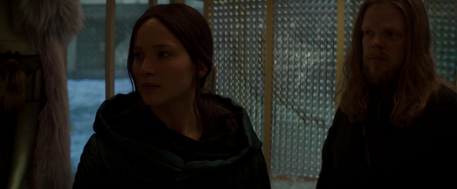 Mockingjay2_4380.jpg